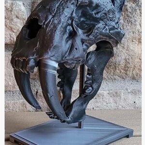 Majestic Black Sabertooth Skull Art Piece